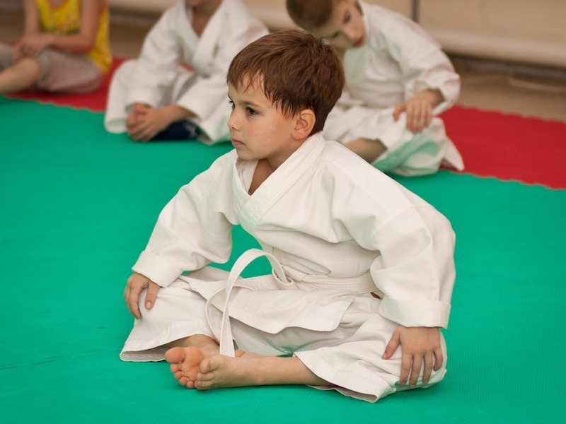 Боевые искусства для детей - предрасположенности и тренировки ребенка