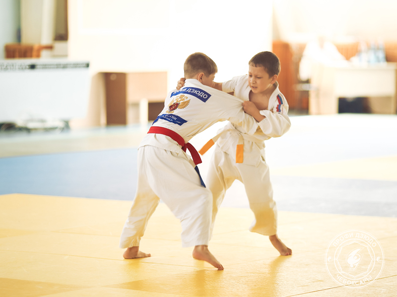 Дзюдо - особенности и формы тренировок для детей